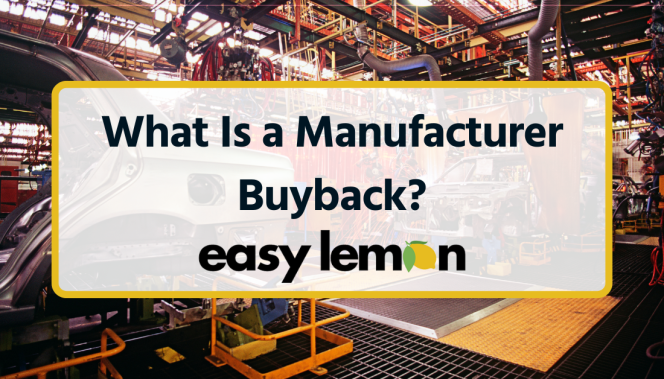 What Does Buyback Mean industry insight
