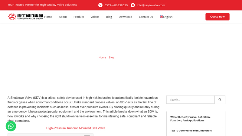 What is an SDV Valve?
