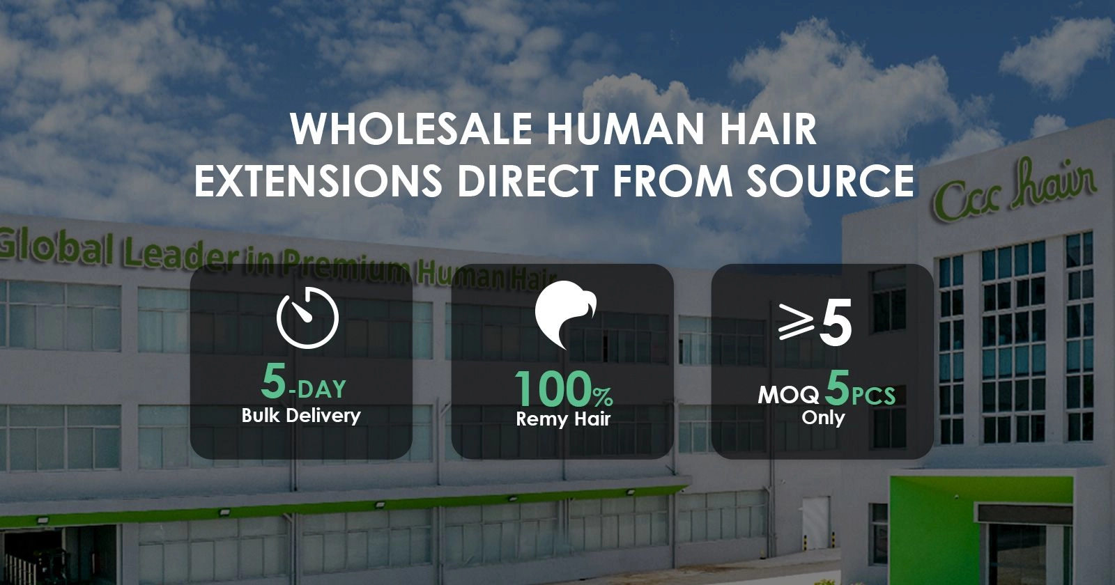 Wholesale Hair Extensions