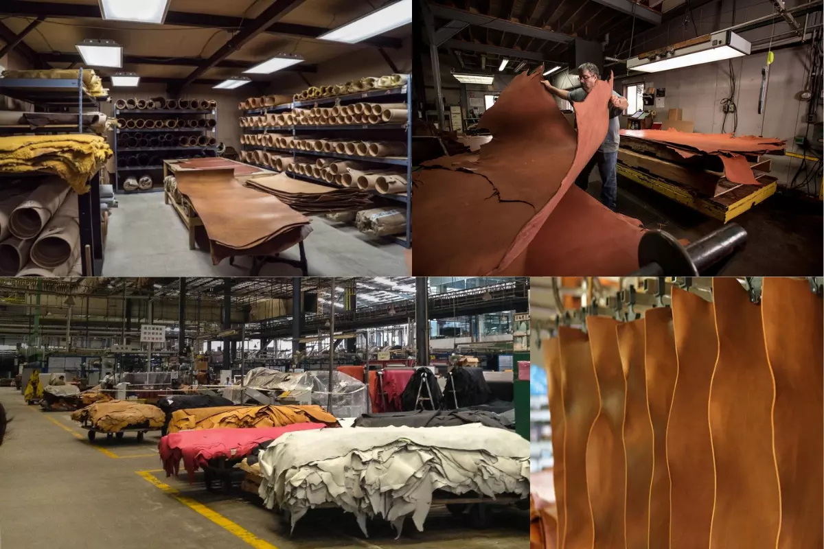 Wholesale Leather industry insight