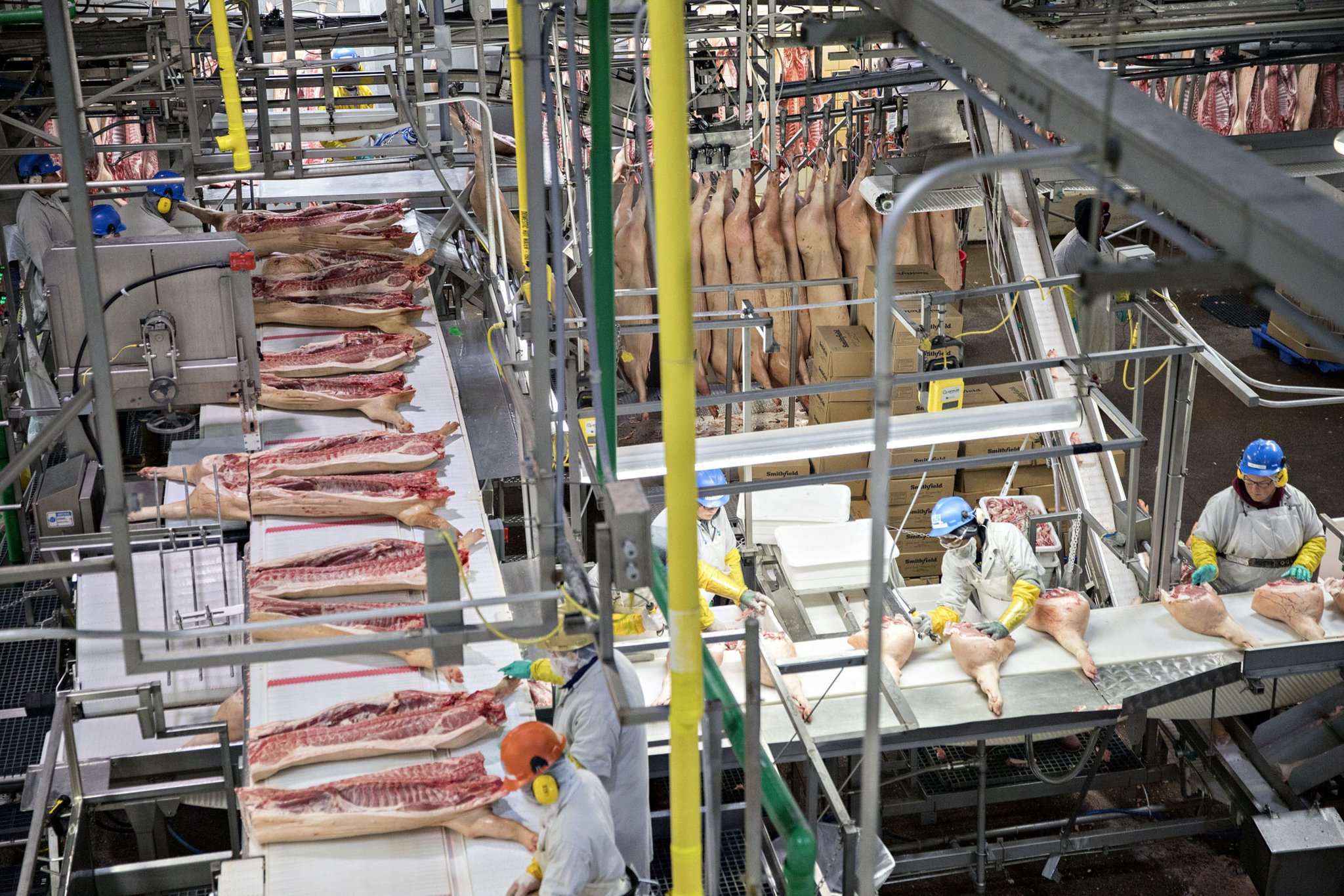 Wholesale Meat industry insight