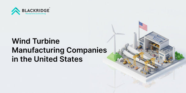 Windmill Usa industry insight
