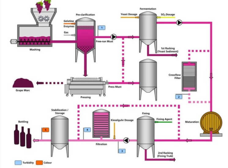 Wine industry insight