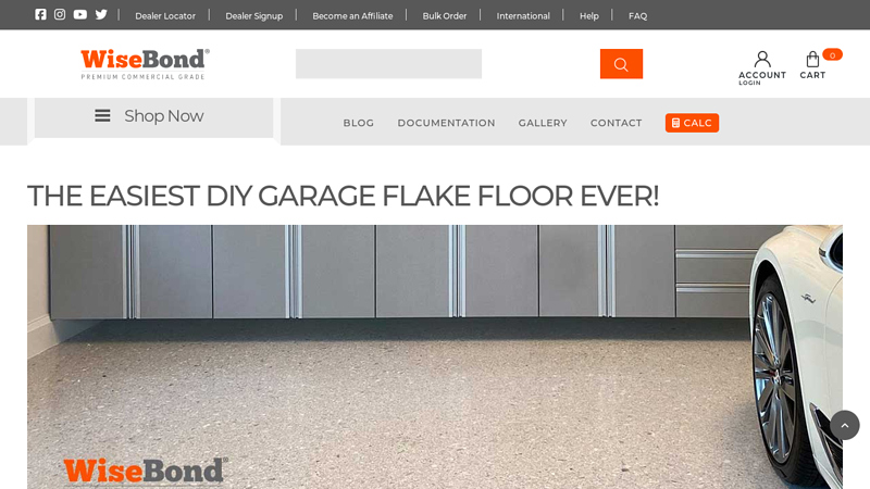 WiseFloor Epoxy Floor Flake System