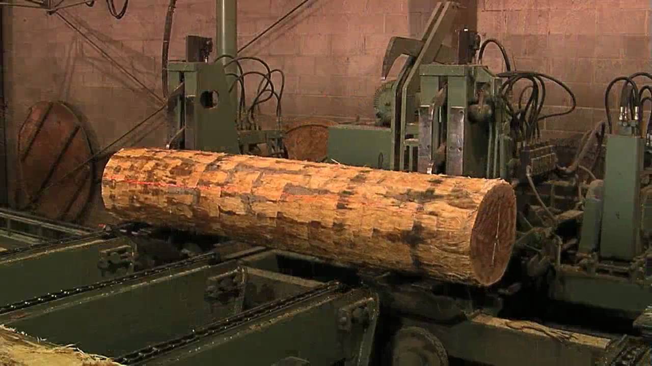 Wood Veneer industry insight