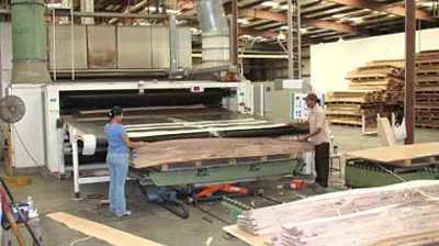 Wood Veneer industry insight