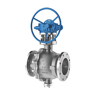 WSV Valve