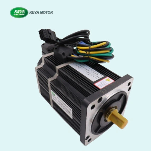 Your Leading BLDC Motor & Servo Motor Manufacturer in China