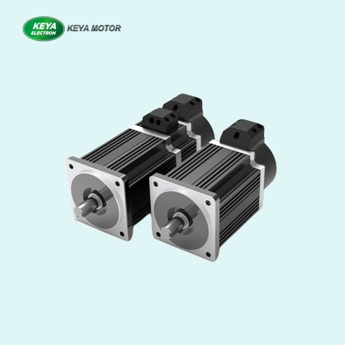 Your Leading BLDC Motor & Servo Motor Manufacturer in China